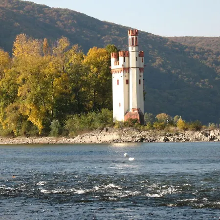 Helle Fewo, 60 Qm, Souterrain, Eigener Eingang, Rhein Und Nahe Bingen am Rhein