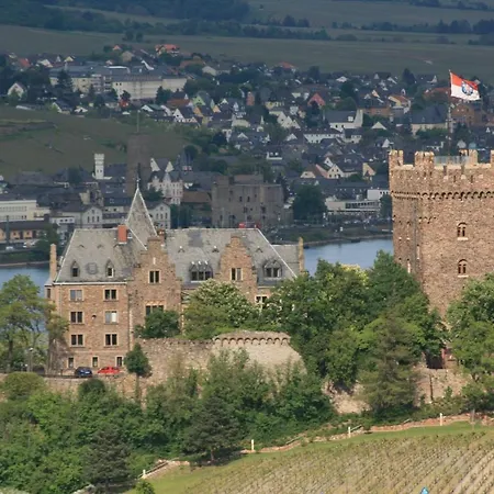 Helle Fewo, 60 Qm, Souterrain, Eigener Eingang, Rhein Und Nahe * Bingen am Rhein