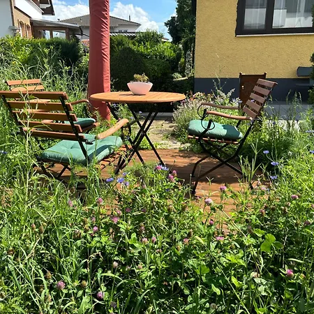 Helle Fewo, 60 Qm, Souterrain, Eigener Eingang, Rhein Und Nahe 莱茵河畔的宾根