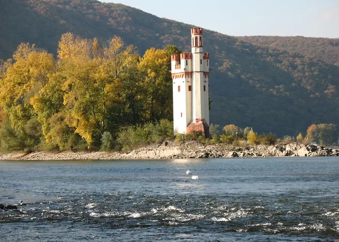 Helle Fewo, 60 Qm, Souterrain, Eigener Eingang, Rhein Und Nahe בינגן אם ריין